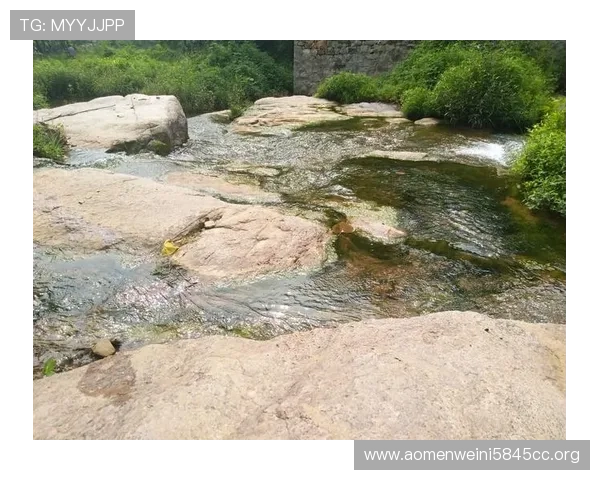 凯旋直播官网用户注册流程详解与账号安全保障措施